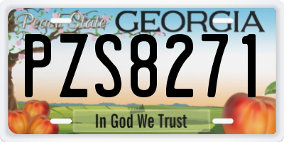 GA license plate PZS8271