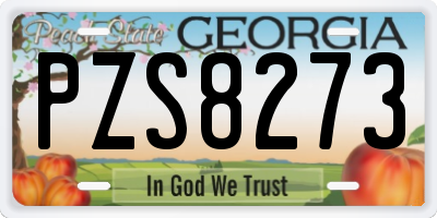 GA license plate PZS8273