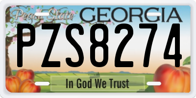 GA license plate PZS8274
