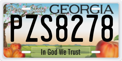 GA license plate PZS8278