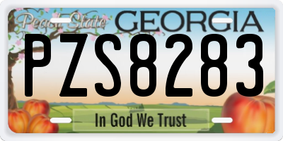 GA license plate PZS8283