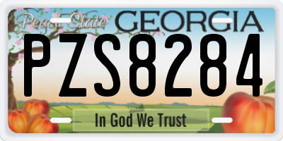 GA license plate PZS8284
