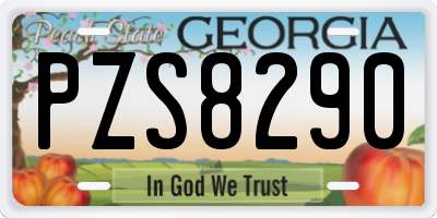 GA license plate PZS8290