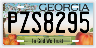 GA license plate PZS8295