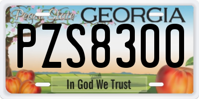 GA license plate PZS8300