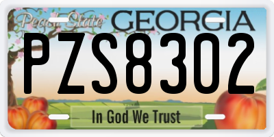 GA license plate PZS8302