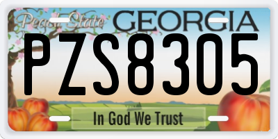 GA license plate PZS8305