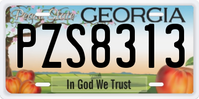 GA license plate PZS8313