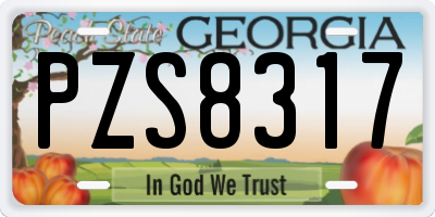 GA license plate PZS8317
