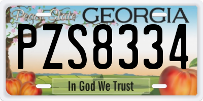 GA license plate PZS8334