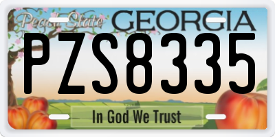 GA license plate PZS8335