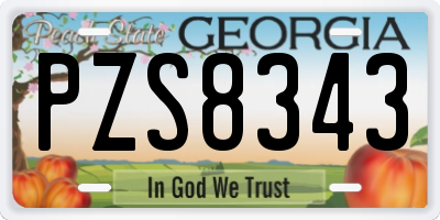 GA license plate PZS8343