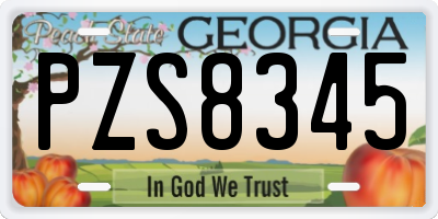 GA license plate PZS8345