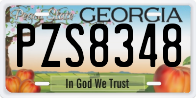 GA license plate PZS8348