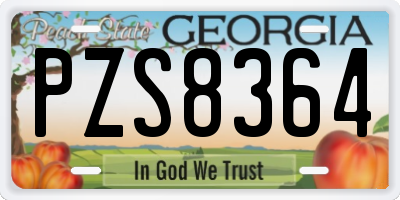 GA license plate PZS8364