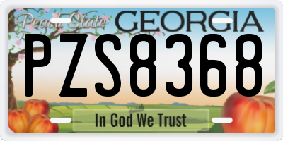 GA license plate PZS8368