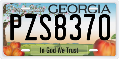 GA license plate PZS8370