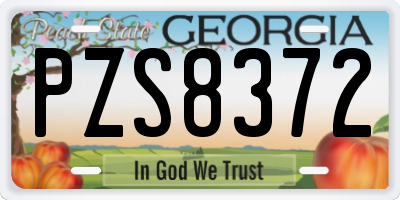 GA license plate PZS8372