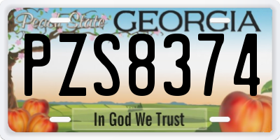GA license plate PZS8374