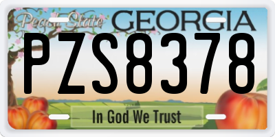 GA license plate PZS8378