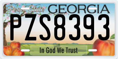 GA license plate PZS8393
