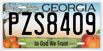 GA license plate PZS8409