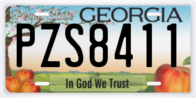 GA license plate PZS8411