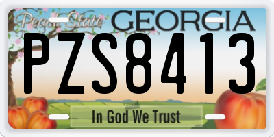 GA license plate PZS8413