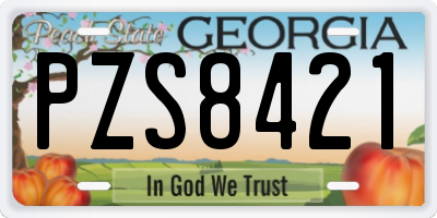 GA license plate PZS8421