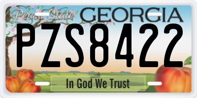 GA license plate PZS8422