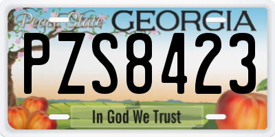 GA license plate PZS8423