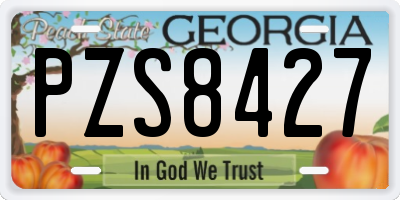 GA license plate PZS8427