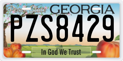 GA license plate PZS8429