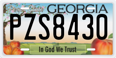 GA license plate PZS8430