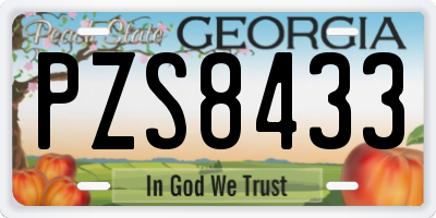 GA license plate PZS8433
