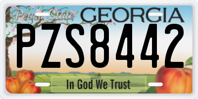 GA license plate PZS8442