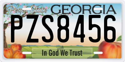 GA license plate PZS8456