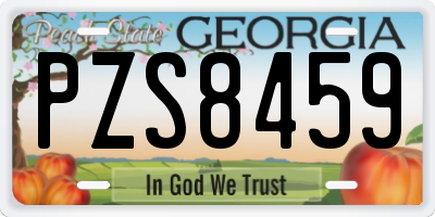 GA license plate PZS8459