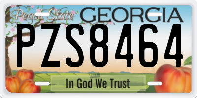 GA license plate PZS8464