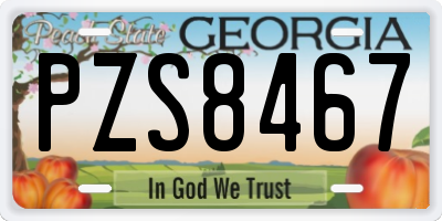 GA license plate PZS8467