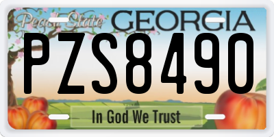 GA license plate PZS8490