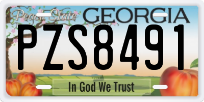 GA license plate PZS8491
