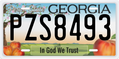 GA license plate PZS8493