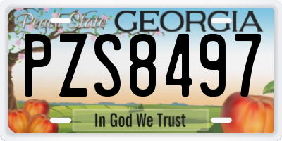 GA license plate PZS8497