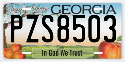 GA license plate PZS8503