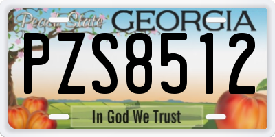 GA license plate PZS8512