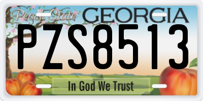 GA license plate PZS8513