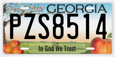 GA license plate PZS8514