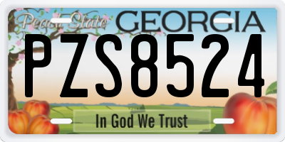 GA license plate PZS8524
