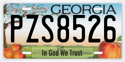 GA license plate PZS8526